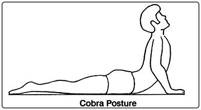 Cobra